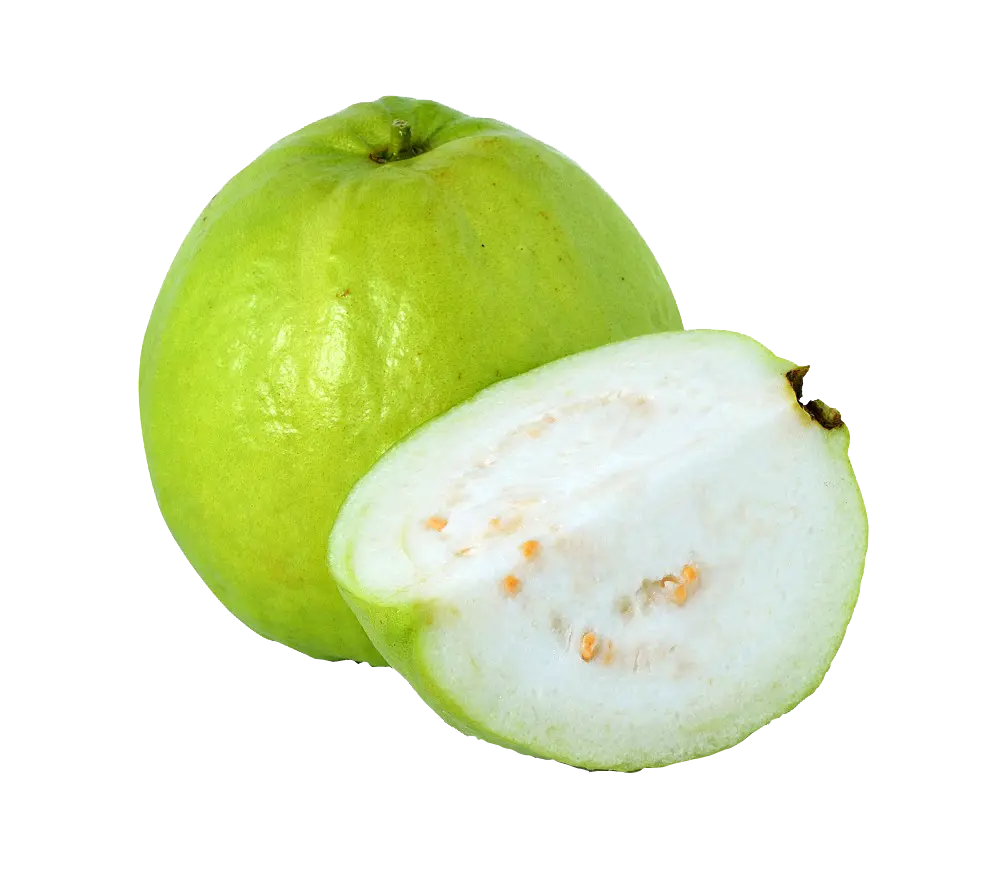 Guava Fruit Powder